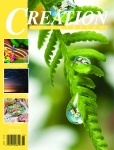 spring_creationillustrated