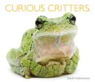 curious_critters